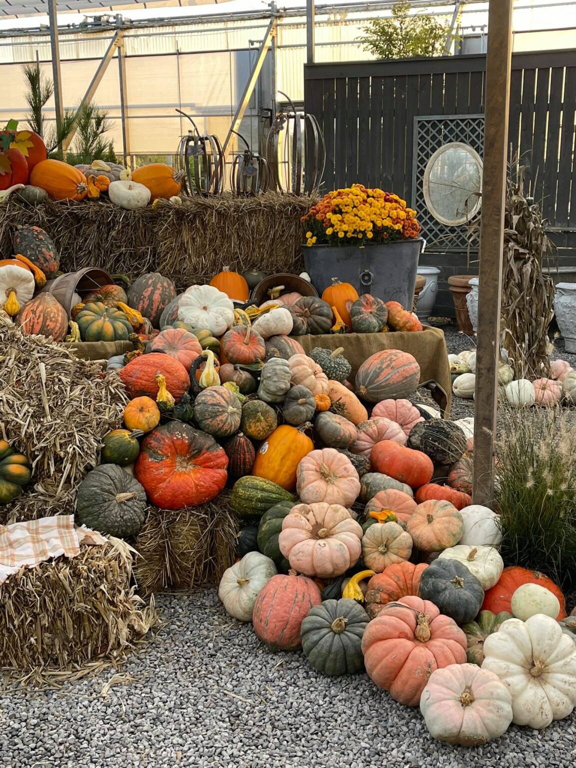 Sanders Nursery Wholesale Nursery and Plant Supplies